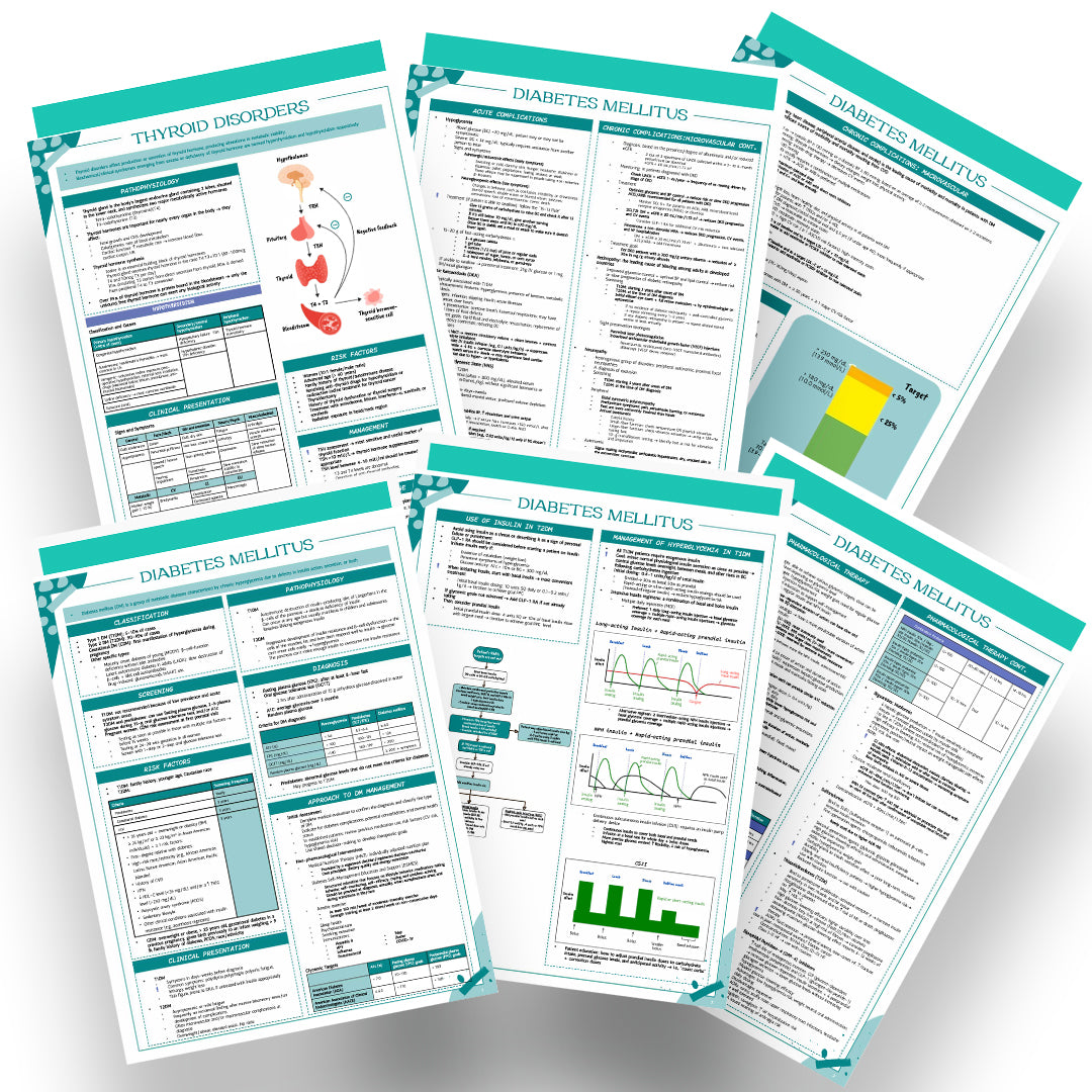 Endocrine Bundle 2024